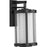 Progress Lighting Irondale Black Outdoor Wall Lantern, Clear - P560149-031