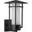 Progress Lighting Exton 1 Lt Outdoor 11" Wall, Black/Etched Seeded - P560274-031