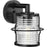 Progress Lighting Keegan 1-Light Outdoor Wall Lantern, Black/Clear