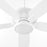 Quorum Apex Patio 56" Ceiling Fan