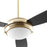 Quorum Expo 3 Blade LED Fan, Aged Brass