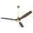 Quorum Reni 65" 3 Blade Ceiling Fan, Aged Brass - 21653-80