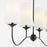 Quorum Euphora Linear Chandelier, Matte Black/White