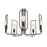 Quorum Howe 5 Light Chandelier, Noir