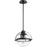 Quorum Meridian Globe Pendant, Noir