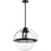 Quorum 20" Meridian Globe Pendant, Noir