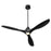 Quorum Marino 1 Light Ceiling Fan