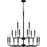 Quoizel Abner Chandelier, Matte Black