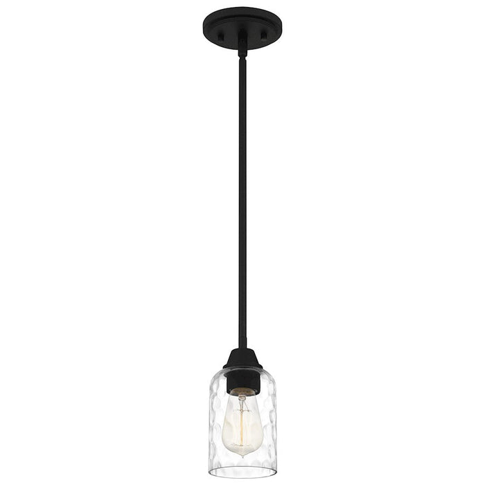 Quoizel Acacia 1 Light Mini Pendant, Clear Water