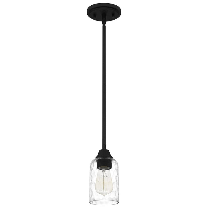 Quoizel Acacia 1 Light Mini Pendant, Clear Water