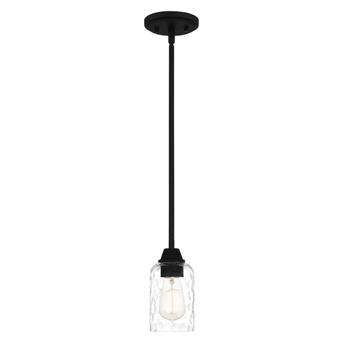 Quoizel Acacia 1 Light Mini Pendant, Clear Water