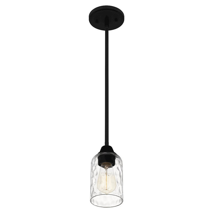 Quoizel Acacia 1 Light Mini Pendant, Clear Water