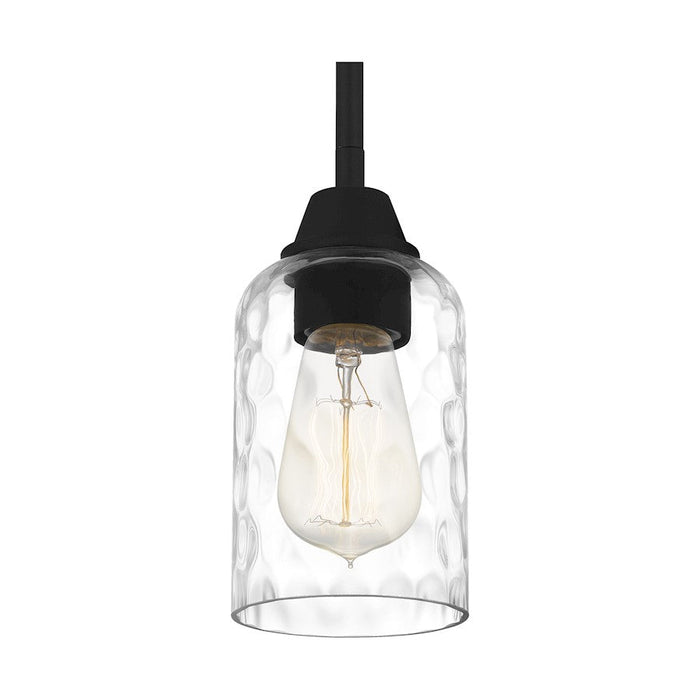 Quoizel Acacia 1 Light Mini Pendant, Clear Water