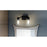 Quoizel Acacia 2 Light Bath Vanity Light, Clear Water