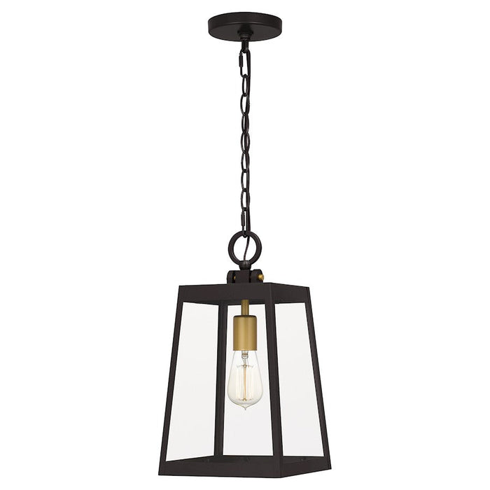 Quoizel Amberly Grove 1 Light Mini Pendant, Bronze/Clear