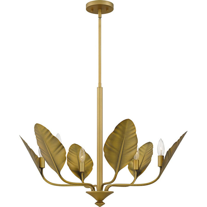 Quoizel Bayley 6 Light Chandelier, Aged Brass