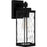 Quoizel Balchier 1 Light Outdoor Lantern, Black/Clear Hammered