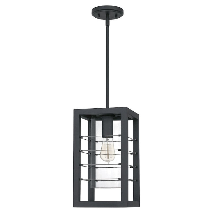 Quoizel Bimini 1 Light Outdoor Hanging Lantern, Earth Black