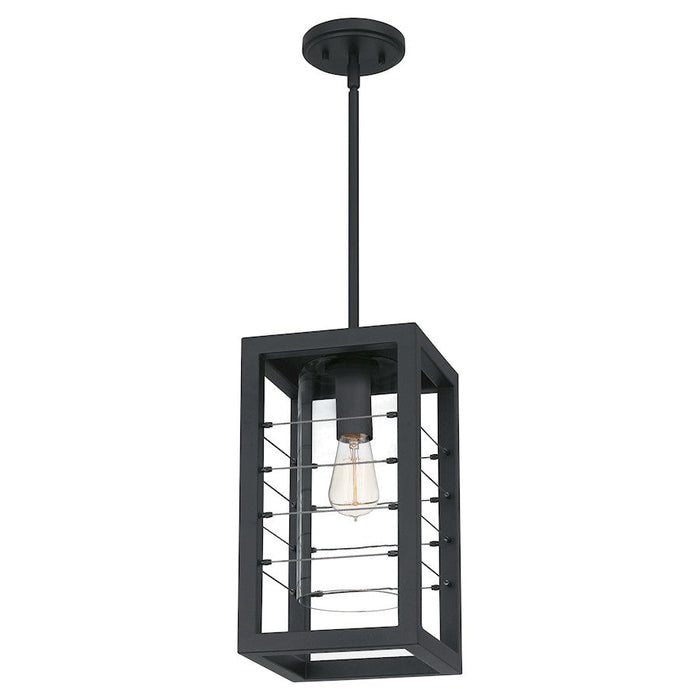 Quoizel Bimini 1 Light Outdoor Hanging Lantern, Earth Black