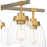 Quoizel Burkett 5 Light Chandelier, Light Gold/Clear