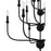 Quoizel Blanche 15 Light Chandelier, Matte Black