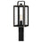 Quoizel Bramshaw 1 Light 18.75" Outdoor Lantern, Black/Seed