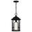 Quoizel Brampton 1 Light Mini Pendant, Matte Black/Clear