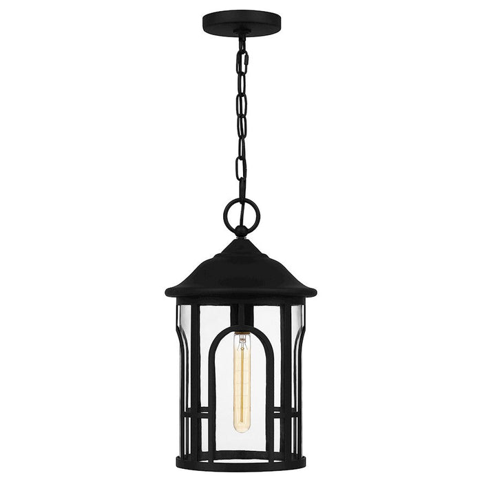 Quoizel Brampton 1 Light Mini Pendant, Matte Black/Clear