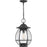 Quoizel Boston 1 Light Mini Pendant, Mottled Black/Clear Seeded