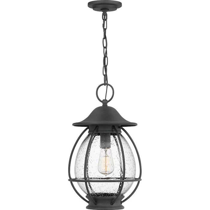 Quoizel Boston 1 Light Mini Pendant, Mottled Black/Clear Seeded