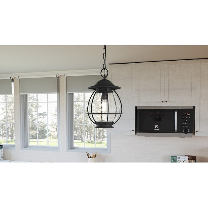 Quoizel Boston 1 Light Mini Pendant, Mottled Black/Clear Seeded