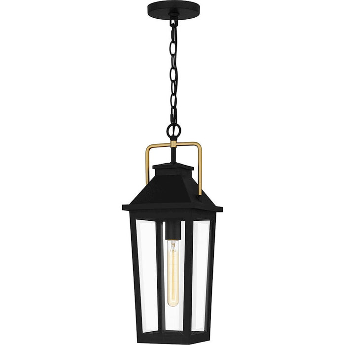 Quoizel Buckley 1 Light 21" Outdoor Lantern, Black/Clear Beveled