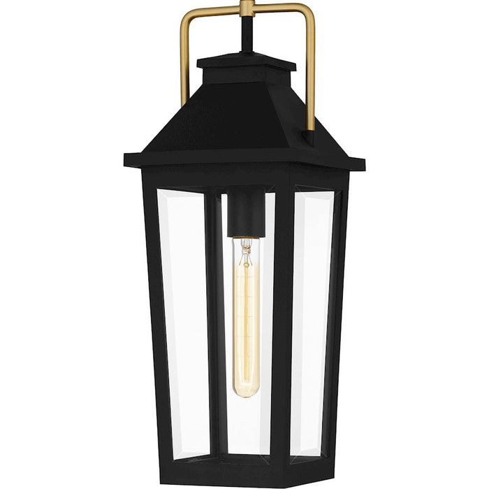 Quoizel Buckley 1 Light 21" Outdoor Lantern, Black/Clear Beveled