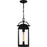 Quoizel Clifton 1 Light 19" Outdoor Lantern, Earth Black/Clear Seedy