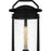 Quoizel Clifton 1 Light 20" Outdoor Lantern, Earth Black/Clear Seedy