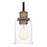 Quoizel Cox 1 Light Mini Pendant, Matte Black/Clear