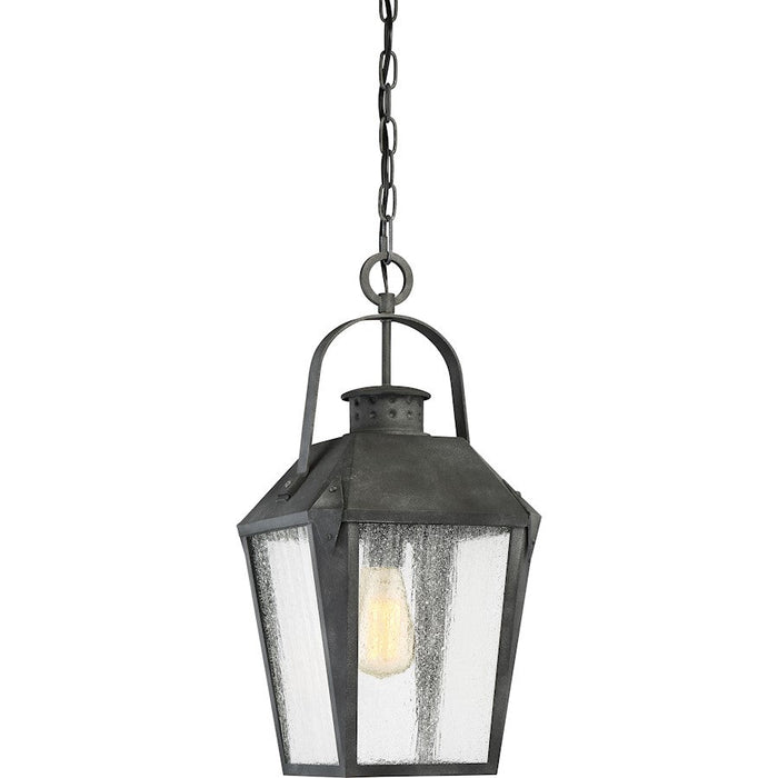 Quoizel Carriage 1 Light Mini Pendant, Mottled Black/Clear Seeded