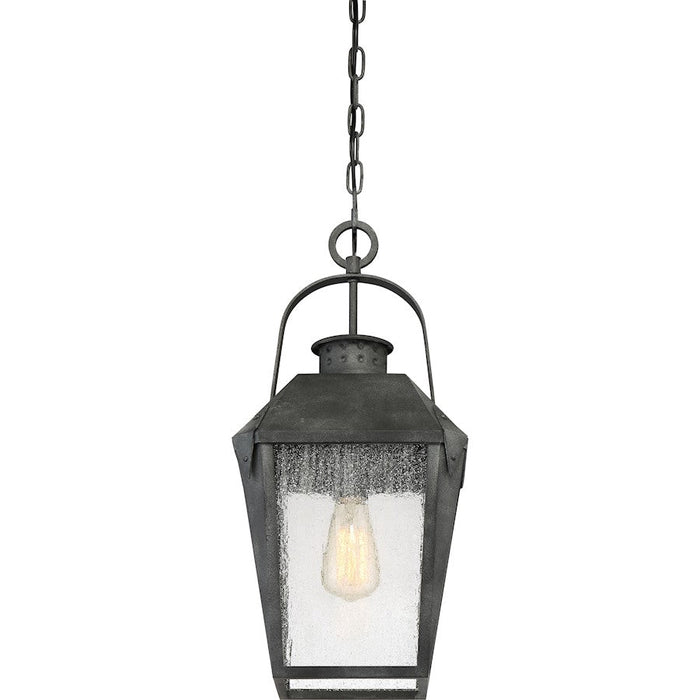 Quoizel Carriage 1 Light Mini Pendant, Mottled Black/Clear Seeded