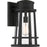 Quoizel Dunham 10.75"1 Light Outdoor Wall Lantern, Earth Bk/Seeded - DNM8410EK