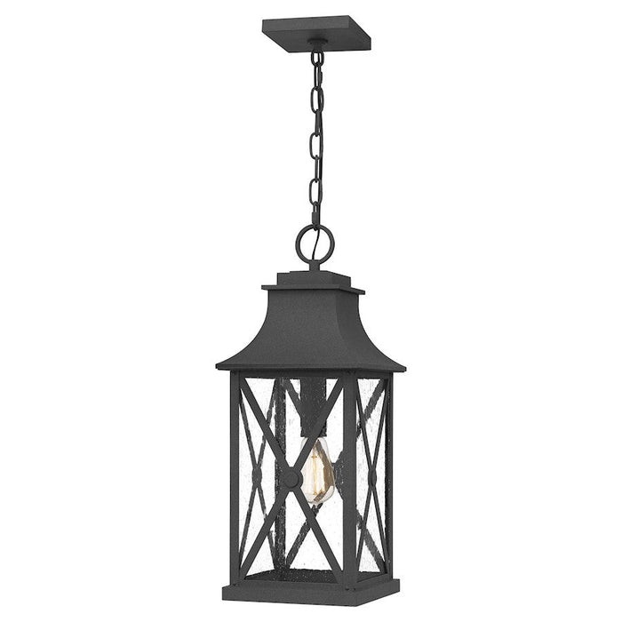 Quoizel Ellerbee 1 Light Mini Pendant, Mottled Black/Clear Seeded