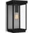 Quoizel Ezra 1 Light Outdoor Lantern, Earth Black/Clear Tempered