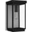 Quoizel Ezra 1 Light Outdoor Lantern, Earth Black/Clear Tempered