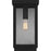 Quoizel Ezra 1 Light Outdoor Lantern, Earth Black/Clear Tempered