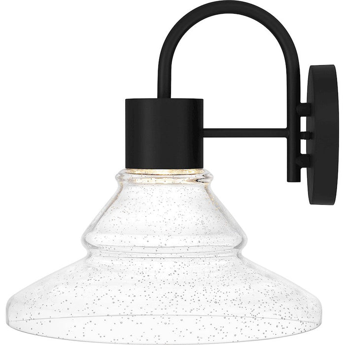 Quoizel Felix Outdoor Lantern, Matte Black/Clear Seedy