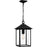 Quoizel Fletcher 1 Light 10" Outdoor Lantern, Earth Black/Clear