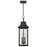 Quoizel Manning 3 Light Mini Pendant, Bronze/Clear