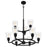 Quoizel Mcintire Chandelier, Matte Black/Clear Seedy