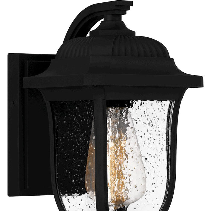 Quoizel Mulberry 1 Light Outdoor Lantern, Black/Clear Seedy