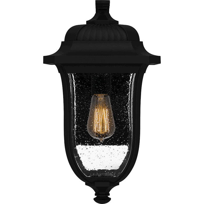 Quoizel Mulberry 1 Light Outdoor Lantern, Black/Clear Seedy