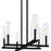 Quoizel Malamute 6 Light Island Light, Matte Black/Clear Crystal